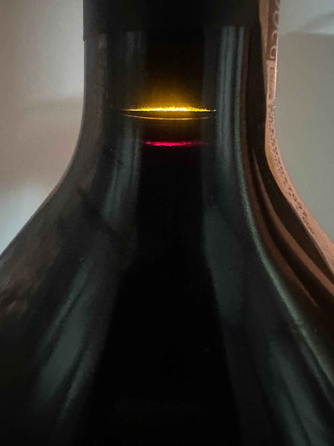 Doppio Magnum Bricco Francesco Barolo Riserva 2009