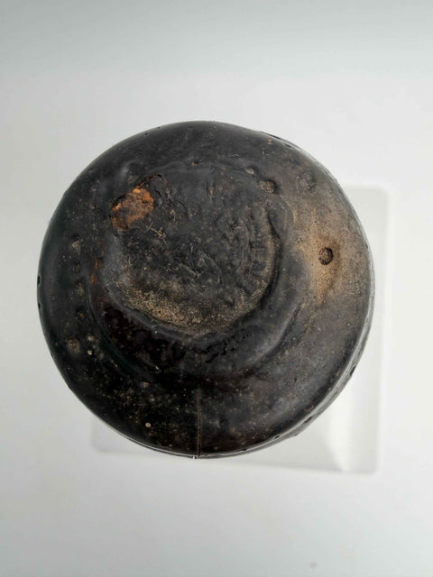 DMG Barolo Pippione, 1976