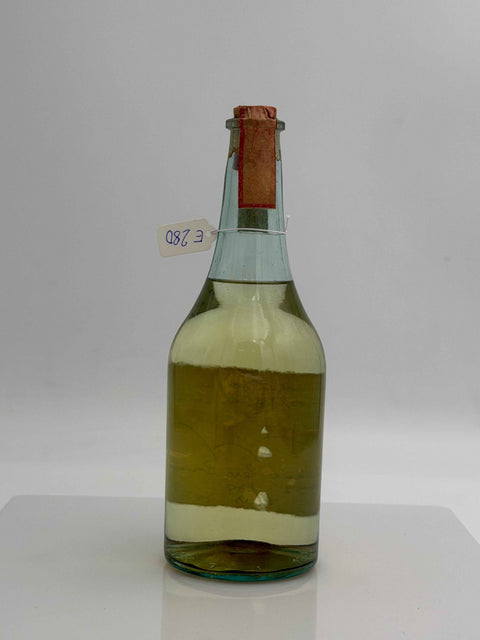 Grappa Romano Levi, Grappa della donna selvatica che cavalca le colline, 1994, 13