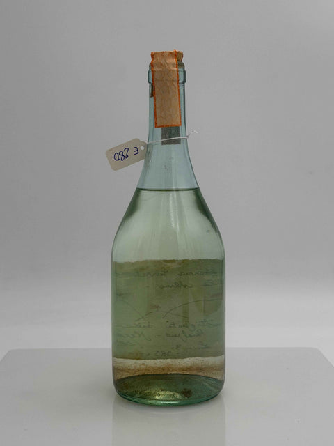 Grappa Romano Levi, Grappa della donna selvatica che cavalca le colline, 1990, 14