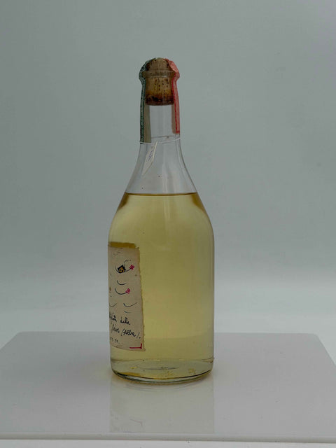 Grappa Romano Levi, cara Maria Luisa ti voglio portare su una nuvola, 1999, 41