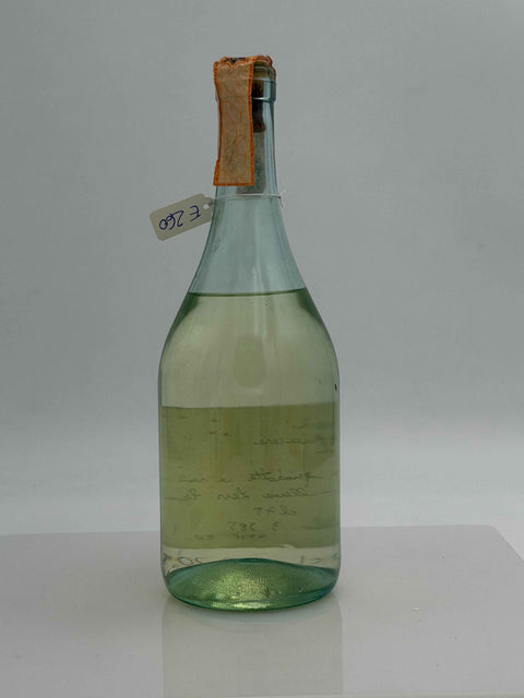 Grappa Romano Levi, agli occhi piace, 1991, 48