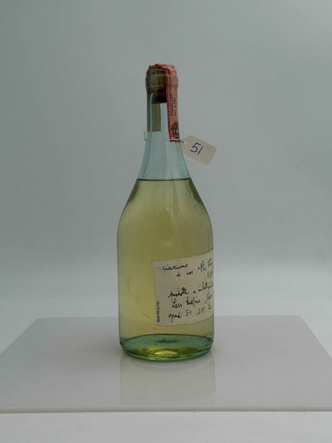 Grappa Romano Levi, Ciascuno di noi per Franca e Francesco Rebello, 1991, 51