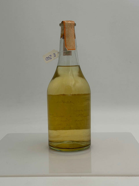 Grappa Romano Levi, gia i pastori, 1992, 54