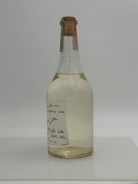 Grappa Romano Levi, in una notte nera, sotto una pietra nera c'e una formica nera, e Dio la vede, 1994, 59