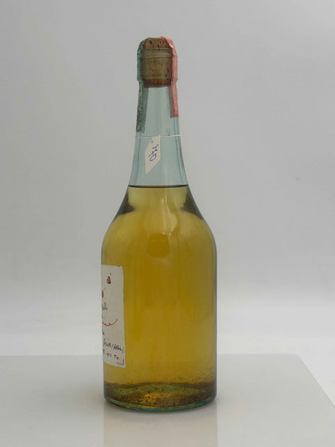 Grappa Romano Levi, A Mario forelli Gediatra, 2000, 70