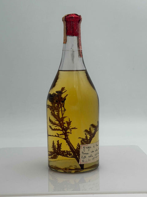 Grappa Romano Levi, grappa de una bella donna selvatica umma con erbe, anni 70s, 77