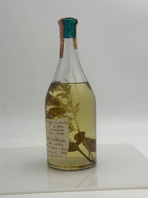 Grappa Romano Levi, grappa de una donna selvatica che cavalca la colina raccogliendo ruta e menta. 1981, 78