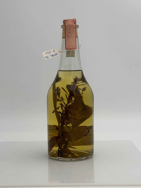Grappa Romano Levi, grappa de una donna selvatica con salvia, menta, limoncina, peperina. 1999, 79