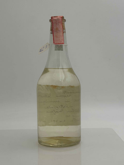 Grappa Romano Levi, grappa ardente dell'uomo selvatico sicut erat un principio, 1994, 89