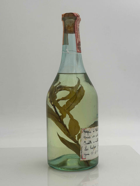Grappa Romano Levi, grappa de una donna selvatica umma con Elia limoncina, 1994, 98