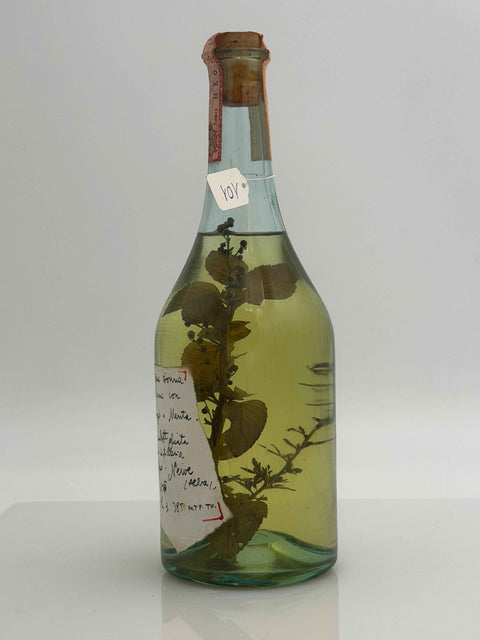 Grappa Romano Levi, Grappa di una donna selvatica umma con  assenzio e menta , 1994, 101