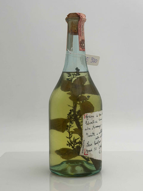 Grappa Romano Levi, Grappa di una donna selvatica umma con  assenzio e menta , 1994, 101