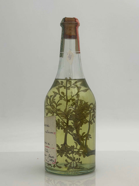 Grappa Romano Levi, a Giovanni e Silvana, Auguri per i vent'anni da Emanuela e Federica, 1994, 111