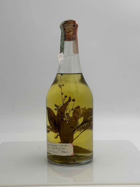 Grappa Romano Levi, Grappa con assenzio, menta , anni 90s, 112