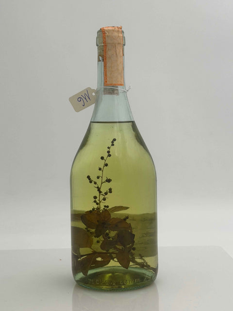 Grappa Romano Levi, Grappa di una donna selvatica umma con estra  assenzio e menta , 1992, 116