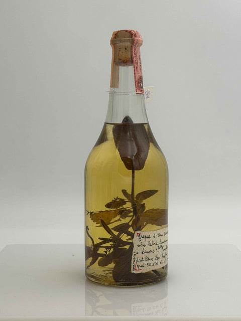 Grappa Romano Levi, Grappe di una donna selvatica, Salvia Limonacia 1995, 132