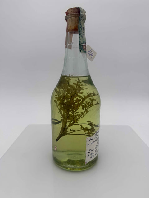Grappa Romano Levi, grappa con erba Ruta, 1997, 144