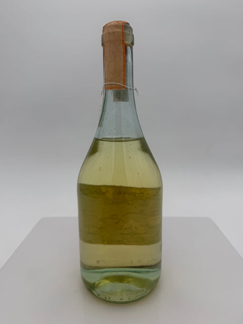 Grappa Romano Levi, Grappa della donna selvatica che scavalica le colline, 1989, 160