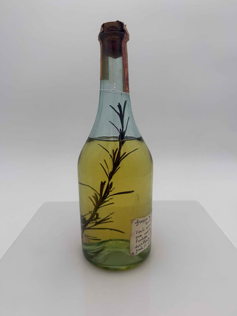 Grappa Romano Levi, con rosmarino, Grappa di una donna selvatica con rosmarino, che da venti anni la nostalgia della sua nativa scadeluzza, 1997, 161