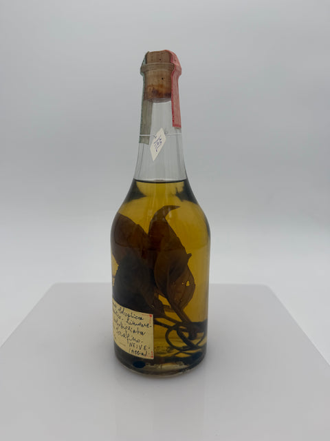 Grappa Romano Levi, Grappa de una donna selvatica umma con basilico, limone e caffè, 1990, 172