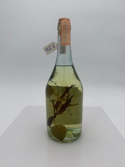 Grappa Romano Levi, 2006, 175