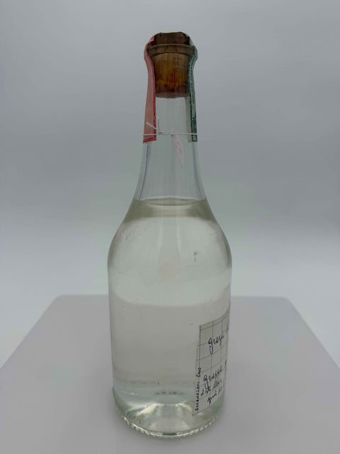 Grappa Romano Levi, Grazie che ci siamo incontrati, 2003, 217