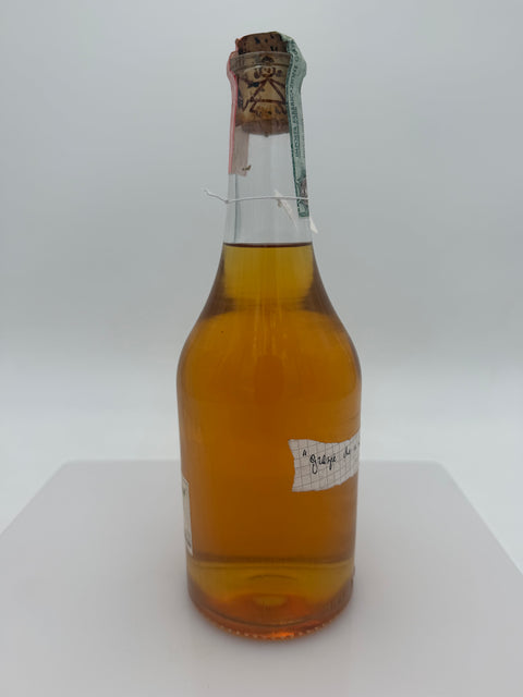 Grappa Romano Levi, Grazie che ci siamo incontrati 2003, 239