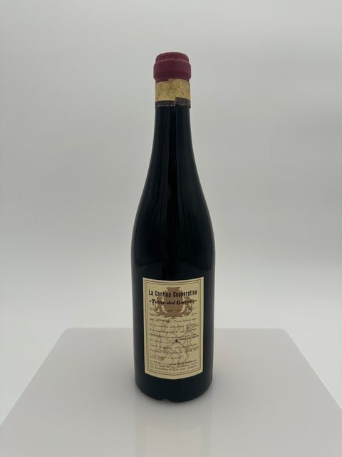 Barolo Terre del Barolo, Riserva 1964 - European Best Wine