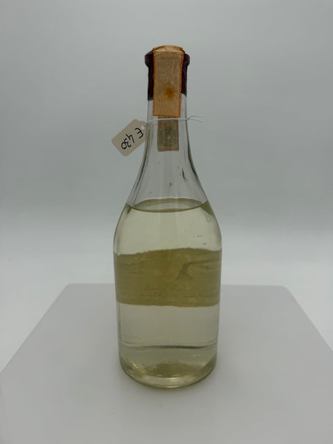 Grappa Romano Levi, Grappa della donna selvatica, 1980, 301
