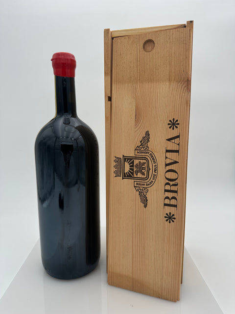 Magnum Barolo, Azienda Agricola Brovia, Rocche Villero 2005 - European Best Wine