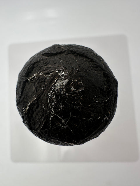 Champagne Dom Perignon, vintage 1983, Moet Chandon Epernay