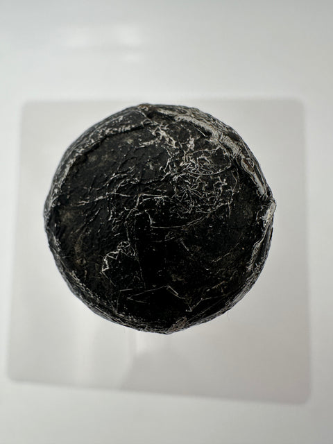 Champagne Dom Perignon, vintage 1982, Moet Chandon Epernay