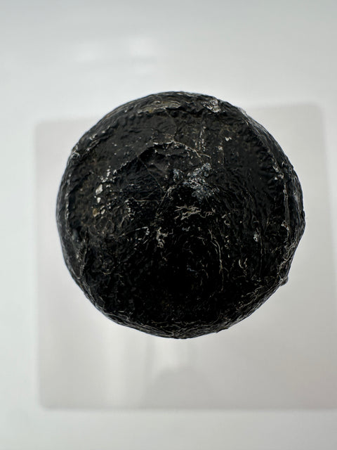 Champagne Dom Perignon, vintage 1985, Moet Chandon Epernay