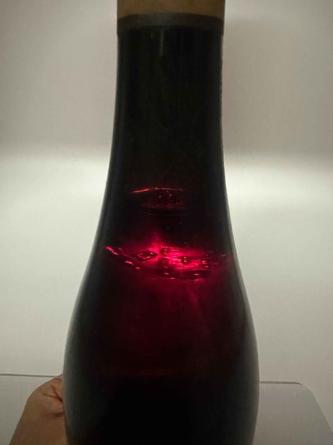 Gaja Barbaresco, Infericot 1967