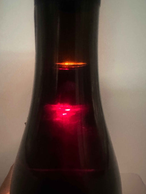 Anselma Gianculin, Barolo Vigna Rionda, 1996, Barricate contro le Barrique