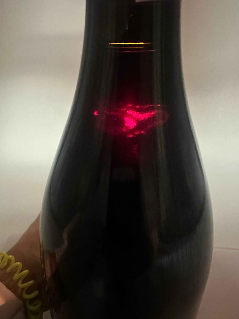 Pianpolvere Soprano Bussia, Barolo Riserva 1999